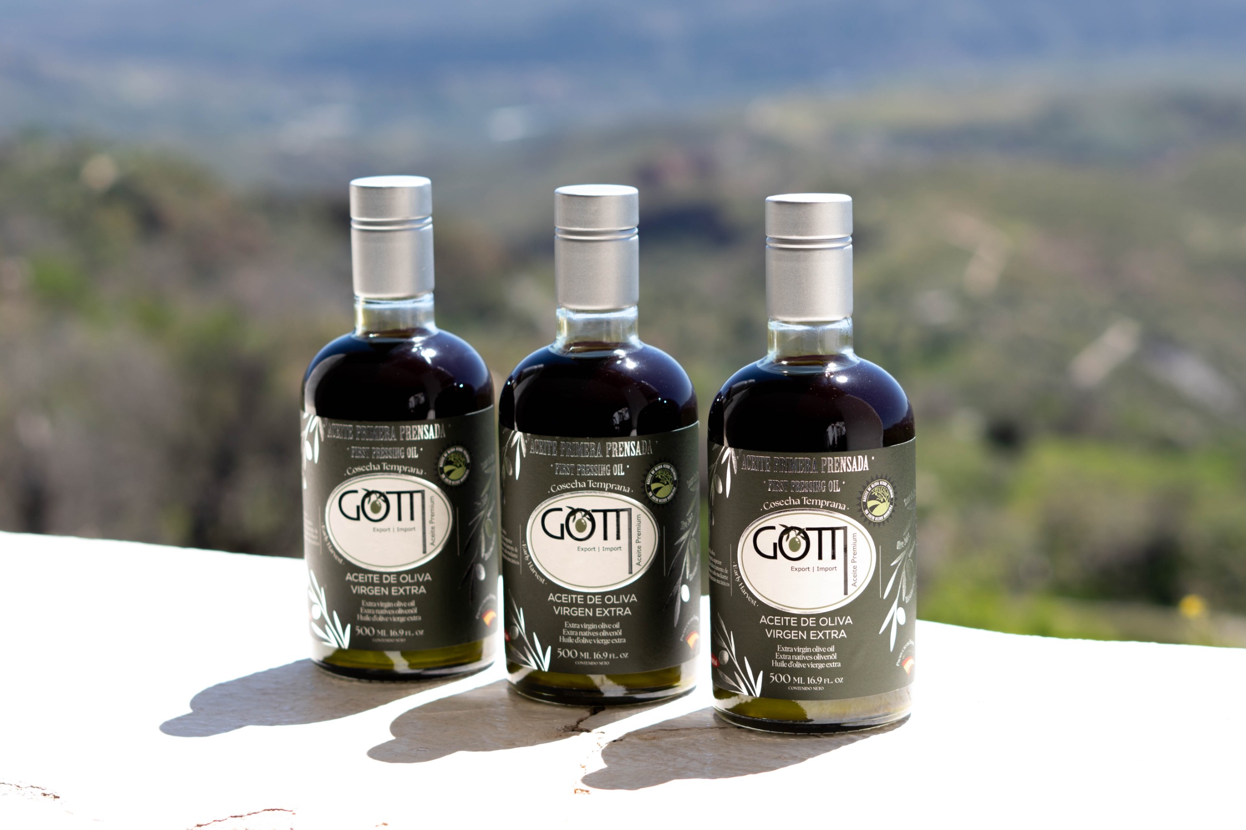 Andalusian olive grove landscape at dawn